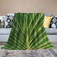 thumbnail image 2 of Chilfamy Green Leaf Blanket Flannel Plant Throw Blankets Soft Giant Leaf Blanket Leaves Design for Bed Couch and Sofa Leaf Blanket Leaf Design Accent for Plant Lovers 60x80in, 2 of 6