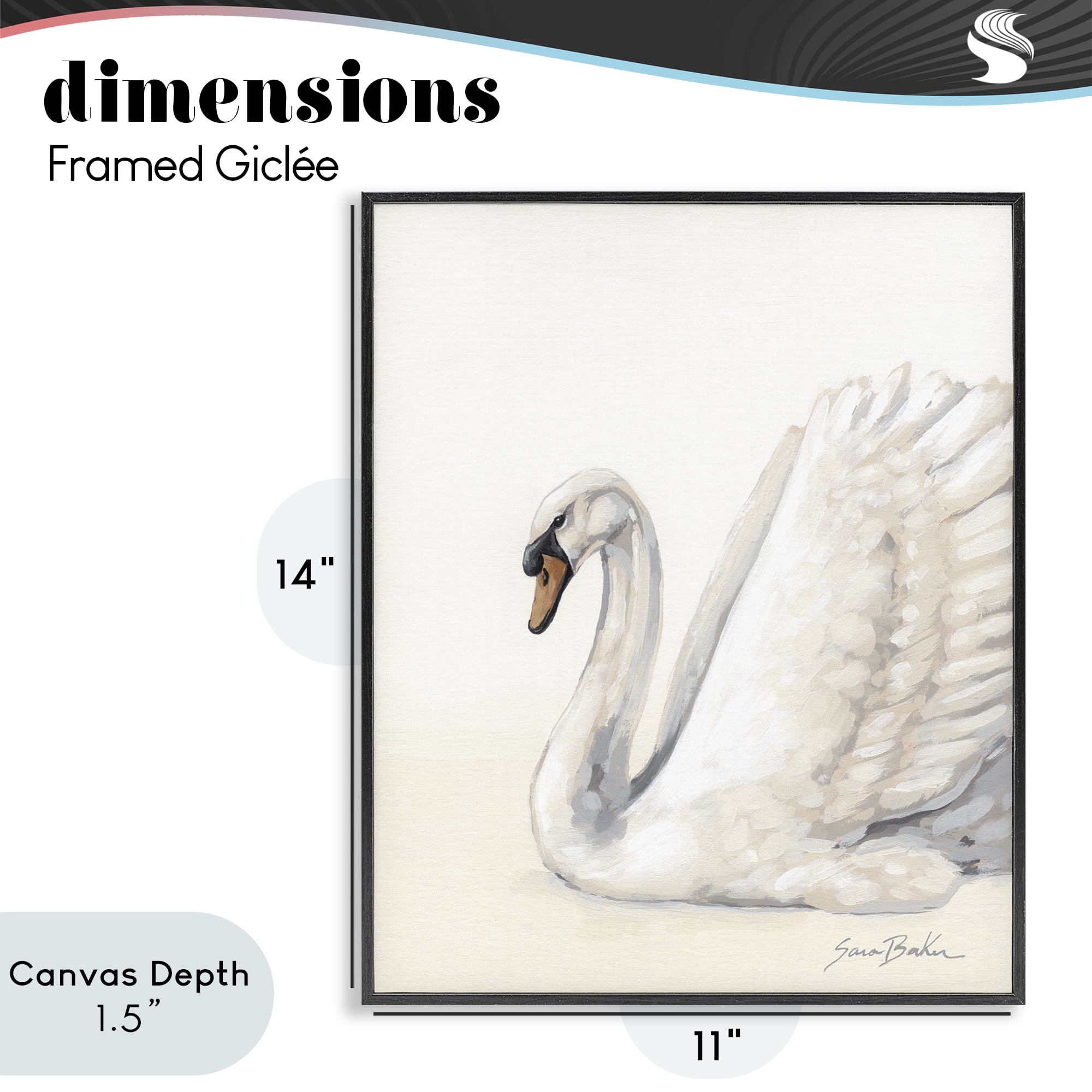 Stupell Industries White Swan in Repose Black Framed Giclee Art, design by Sara Baker