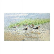 Betsy Drake DM1365G 30 x 50 in. Summer Avocets Door Mat