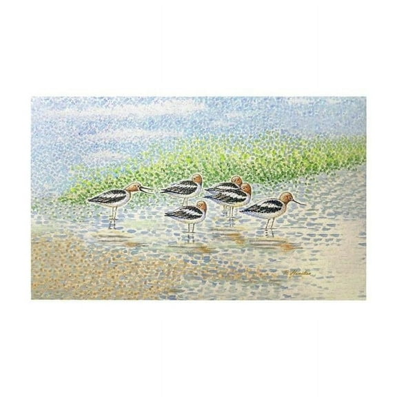 Betsy Drake DM1365G 30 x 50 in. Summer Avocets Door Mat