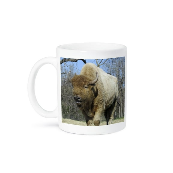 3dRose, American Bison - buffalo, 11oz Mug