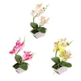 thumbnail image 1 of Artificiales Bonsais De La , Decoración para hogar De Al Interior, 1 of 9
