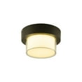 thumbnail image 2 of Fwttom Iron Ceiling Light, Outdoor Waterproof Ceiling Light Easy Modern Terrace Entrance Hallway Courtyard Balcony Wall Light, 2 of 7