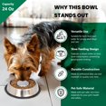Iconic Pet Set of 2 Stainless Steel NonSkid Slow Feed Bowls for Medium