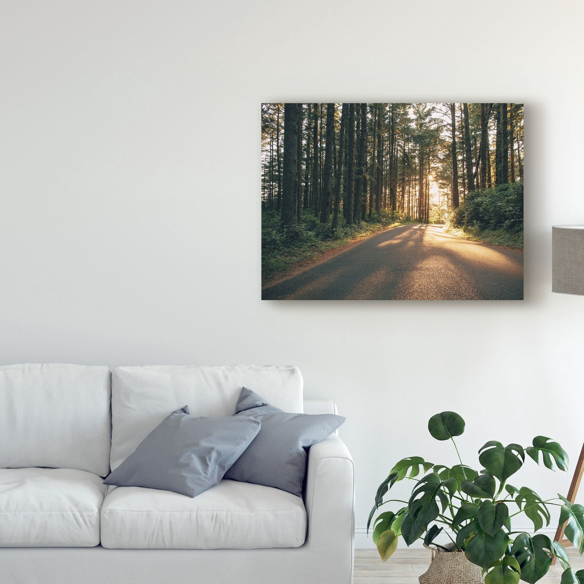 Trademark Fine Art 'Pacific Northwest Oregon III' Canvas Art by Adam Mead