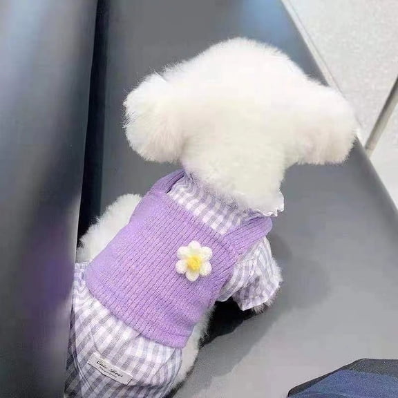 Adorable Pet Clothes for Cats & Small Dogs - Charming Spring & Autumn Wear