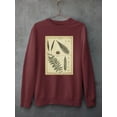 thumbnail image 3 of Diderot Antique Ferns Iii. Sweatshirt Men -Denis Diderot Designs, Male x-Large, 3 of 4