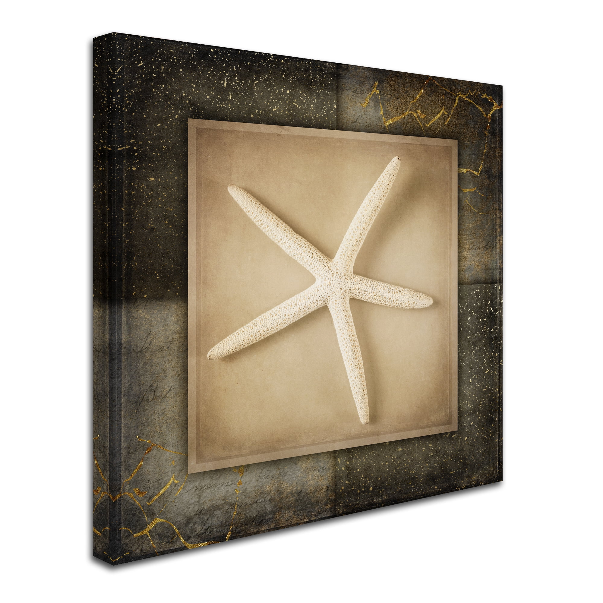 Trademark Fine Art Animals Canvas Art ' Light Gold Sea Warm 3 ' by LightBoxJournal