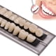 thumbnail image 2 of Prótesis dental: dientes de resina sintética, 140 unidades, color MIBICIRI A2, 2 of 6
