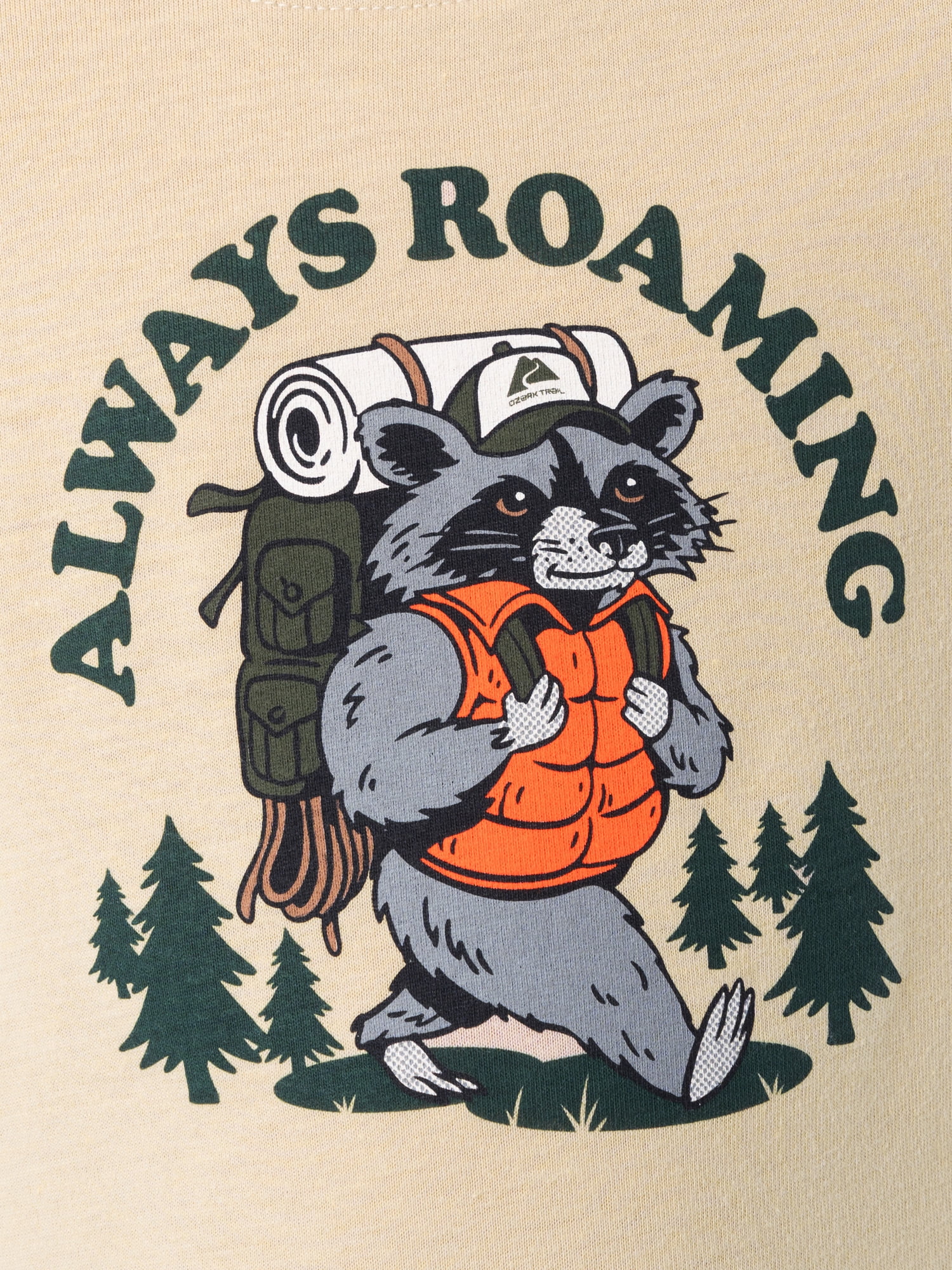 Ozark Trail Boys Graphic Tee with Short Sleeves, Sizes XS-XXL