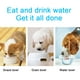 thumbnail image 5 of Bandeja de comida para perros, vajilla, cuenco antideslizante para perros y gatos, cuenco de plástico PP de color para mascotas, 5 of 5