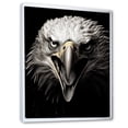 thumbnail image 2 of Designart "The Resolute Gaze Of The Bold Eagle III" Animals Eagle Floater Framed Wall Art Prints, 2 of 5