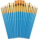 thumbnail image 1 of Zhuge Juego de pinceles para pintar, 20 piezas de pinceles para pintura acrílica, pincel para pintura al óleo y acuarela, azul, 1 of 5