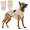 Light pink, variant on Pet Vest with Adjustable Fit - Lightweight Polyester Dog Vest,Machine Washable,Plaid Pattern, 9 Sizes (XS-5XL)