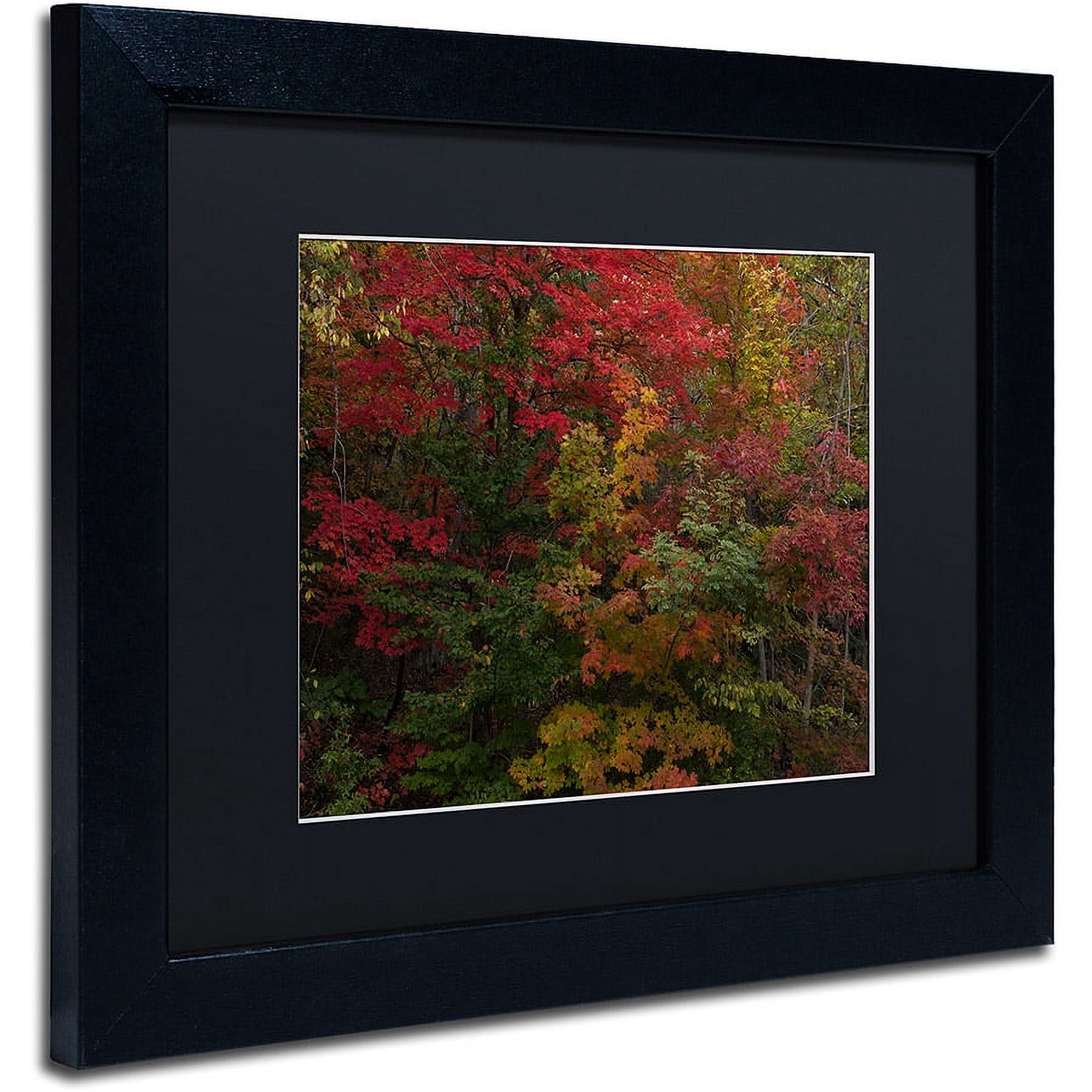 Trademark Fine Art "Why I Love Autumn" Canvas Art by Kurt Shaffer, Black Matte, Black Frame