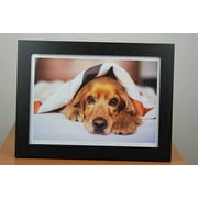 PPD Glossy Photo Paper for Inkjet Printer, 8.5 x 11 inches, 50 Sheets, 180 Gsm