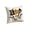 B001- Black (Style A), variant on Halloween Living Room Decor, 18X18 Inch Spooky Cute Vintage Halloween Pillow Cover, for Indoor Family Gathering Bedroom Accent Seasonal Halloween Room Decor, Off-White Base
