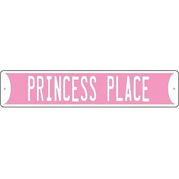 PRINCESS PLACE METAL STREET SIGN 24 X 5" RD PINK TEENAGE GIRL TEENAGER PARKING