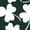 Green, variant on Women's Fashion Casual T-Shirts for Stylish Outfits St Patrick's Print 3/4 Sleeve Crewneck Top for Any Occasion Comfortable and Women's Apparel