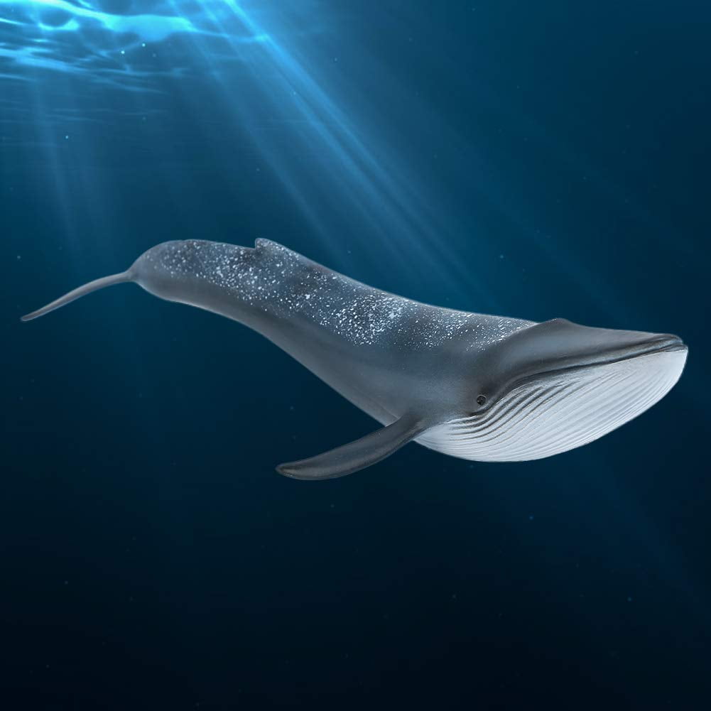 Simulation Whale, Fun Ornament Whale Figurine, for Kids Baby (Blue