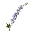 thumbnail image 2 of Larkspur Artificial Flowers, Realistic Delphinium with Bendable Stems Rustic Floor Vase Decor for Home Wedding Decor, 2 of 8
