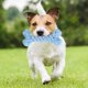 thumbnail image 3 of Juguete para morder perros NikouMX Cuerda de algodón forma de Animal, 3 of 8