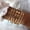 Gold, variant on Vintage Couple Bracelets, Golden U-Shape Open Cuff Bracelet Set for Unisex, Iron Material, Individually Packed