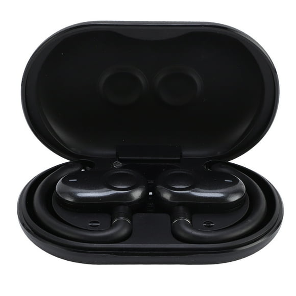 Earbuds Translator, 5.4 Translation Earbuds for Travel Black,Skin Color