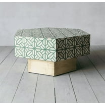 RUDRAKSHA CORPORATION Bone Inlay Coffee Table. It has a hexagon shape and features a green and ivory geometric pattern. This piece is perfect for living room furniture.