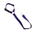 thumbnail image 1 of Solid Two-in-one Pet Car Seat Belt  Lead Leash BackSeat Safety Belt Adjustable Harness for Kitten Dogs Collar Pet Accessories ShopWise Round, 1 of 15