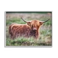 thumbnail image 4 of Stupell Industries Highland Longhorn Cattle Grazing Rural Countryside Grassland Photograph Gray Framed Art Print Wall Art, Design by James Dobson, 4 of 5