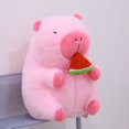 thumbnail image 1 of Poupée Capybara Véritable Poupée Jouet en Peluche Oreiller Cadeau d'Anniversaire Célébrité Internet Ragdoll DMH, 1 of 7