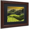 thumbnail image 2 of Trademark Fine Art "Sunset Rice" Canvas Art by Philippe Hugonnard, Black Matte, Wood Frame, 2 of 4