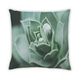thumbnail image 2 of Ahgly Company Plants Leaves Outdoor Throw Pillow, 18 inch by 18 inch, 2 of 6