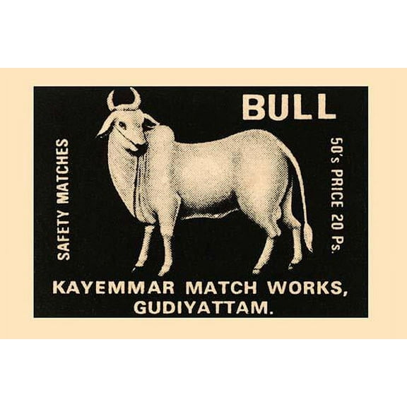 Bull-Fine Art Canvas Print (20" x 30")