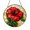Acrylic 3.5 Inch, variant on Red Tropical Floral Stained Glass Style Round Window Hanging Art