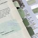 thumbnail image 5 of Writable Bible Labels 3 Pack | 360 Repositionable Document Stickers | Gradient Green Page Markers | Removable Adhesive Tabs | Note Organization for Reading, Office, Organizing | 2.95×8.89 in, 5 of 6