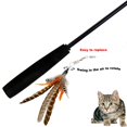 thumbnail image 3 of Recambios para juguetes con plumas de gato TIENAILING Da Bird, 6 piezas, 3 of 4