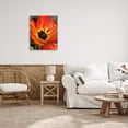thumbnail image 2 of Stupell Industries Bold Red Poppy Flower Blossom Petals Photograph Gallery Wrapped Canvas Print Wall Art, Design by Heidi Bannon, 2 of 7