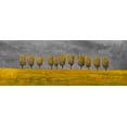 thumbnail image 2 of Atelier B Art Studio 24x11 Black Ornate Wood Framed with Double Matting Museum Art Print Titled - YELLOW TREES IN A FIELD, 2 of 4