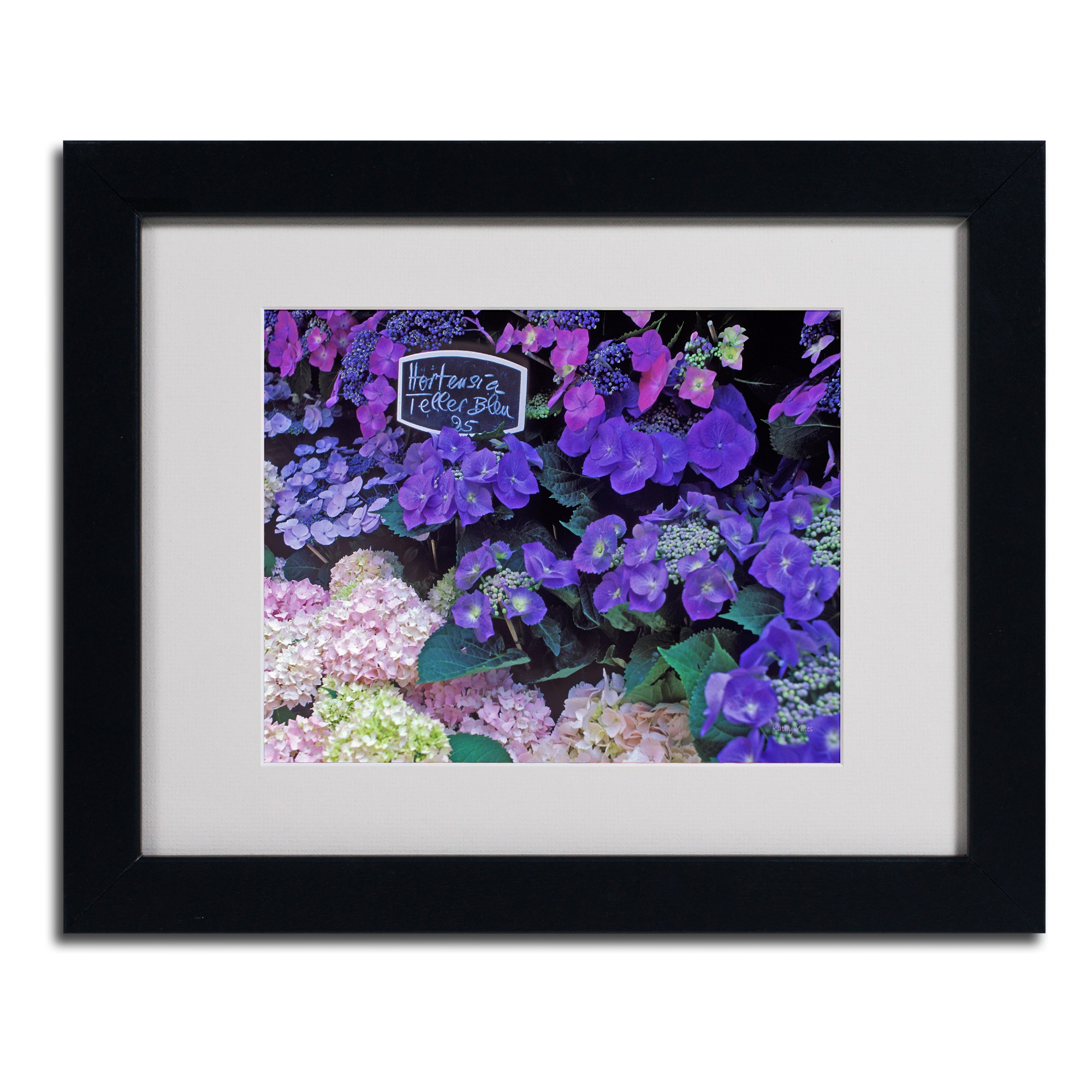 Trademark Fine Art "Paris Flower Market Hydrangeas" Matted Framed Art by Kathy Yates, Wood Frame