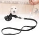 thumbnail image 5 of Tether De Baño Para Perros, Taza De Succión Correa De Correa De Baño De Perros, Restricción Con Material De Nylon Para Accesorios De Correa De Aseo Para Mascotas, 5 of 7
