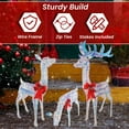 3 Piece Iridescent Reindeer Family Lighted Deer Set 210 Lights 52" Buck