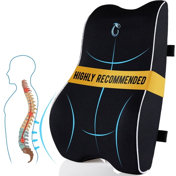 Guttylief Lumbar Support Pillow for Office Chair, Memory Foam Back Cushion for Car Seat & Gaming Chair, Black