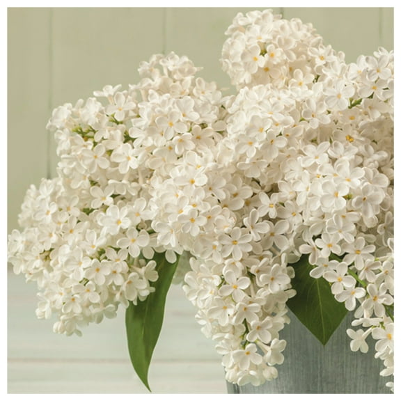 Keep Unique Flowers Decoupage Napkins, Disposable Birthday Napkins, Assorted Color, 20/Pack