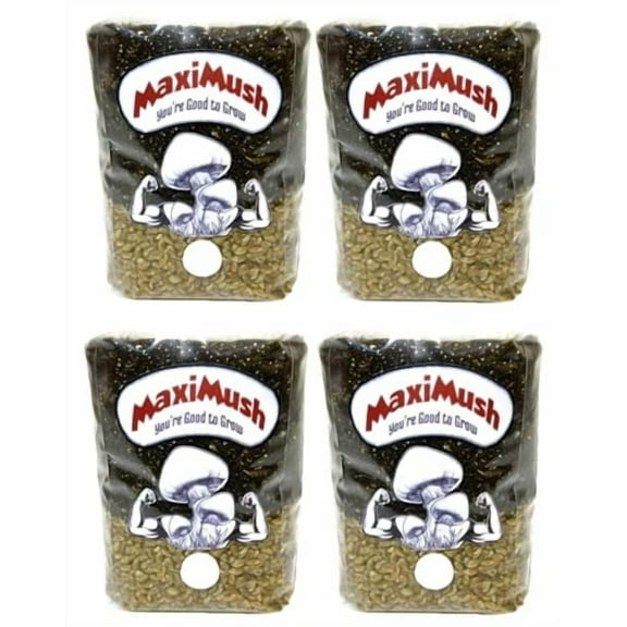 (4-Pack) Mushroom Grow Kit! Magic Grow Bag for Mushrooms! (Original 2Lbs. x4) Grain, Substrate, and - Port All-in-One! The Good to Grow Kit!