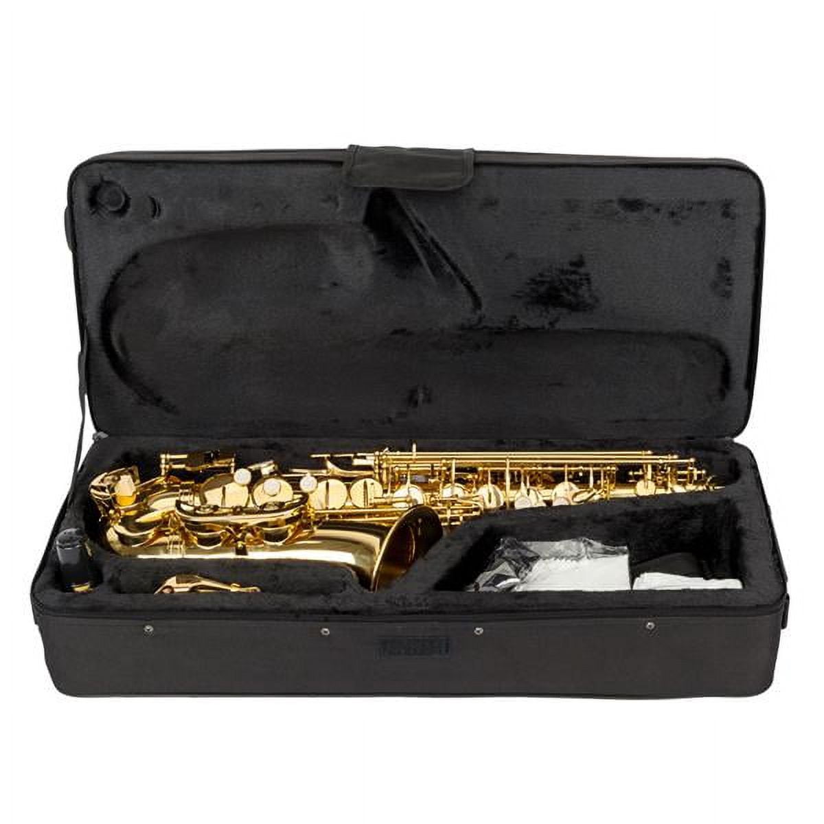 SALE CLEARANCE Alto Saxophone Eb beginner Saxophone includes brush canvas suitcase glove whistle piece cork plaster wipe cloth neck strap and other accessories