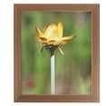thumbnail image 4 of ArtToFrames 18x24 inch Brown Veneer Picture Frame, Multi 18" x 24" Wood Poster Frame (WOM-5136), 4 of 7
