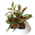 thumbnail image 3 of fastboy Artificial Potted Plant Leaf Simulation Leaves Home Office Desktop Greenery Decoration, Plant Type 15, 3 of 7