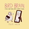 Bird Brain : Comics About Mental Health, Starring Pigeons (Paperback)